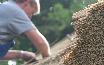 professional Ludwell thatchers